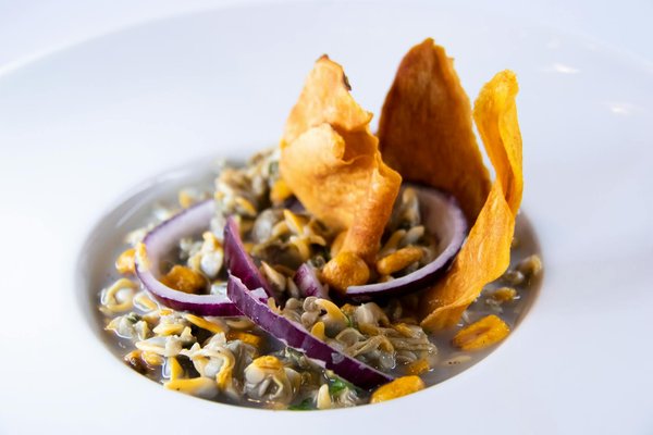 How to Choose the Best Electric Car for a Sustainable Future